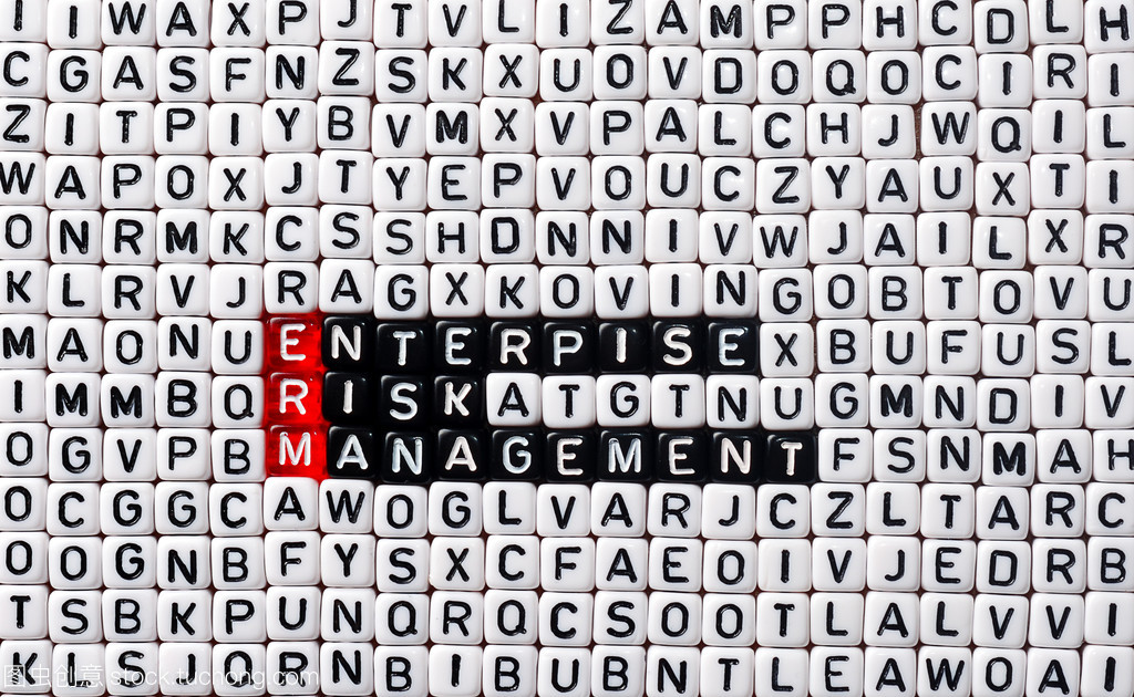 erm 企業(yè)風(fēng)險(xiǎn)管理