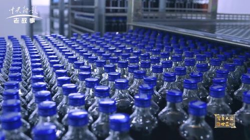 逐夢太湖之濱 央視《非凡匠人》欄目組走進無錫健特藥業