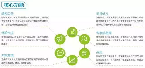 互聯(lián)網(wǎng)+農(nóng)業(yè) 數(shù)據(jù)服務(wù)重塑務(wù)農(nóng)新體驗(yàn)